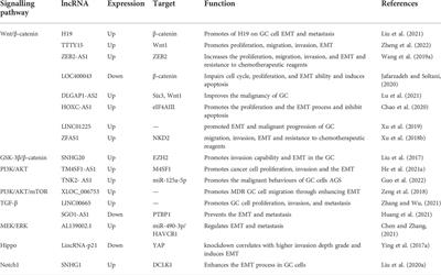 Epithelial-mesenchymal transition-related long noncoding RNAs in gastric carcinoma